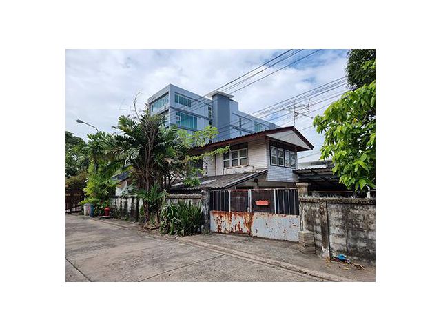 บ้านให้เช่า ซอยสุขุมวิท50 2ชั้น 3นอน เนื้อที่ 102 ตารางวา สนใจติดต่อ 086 399 1655