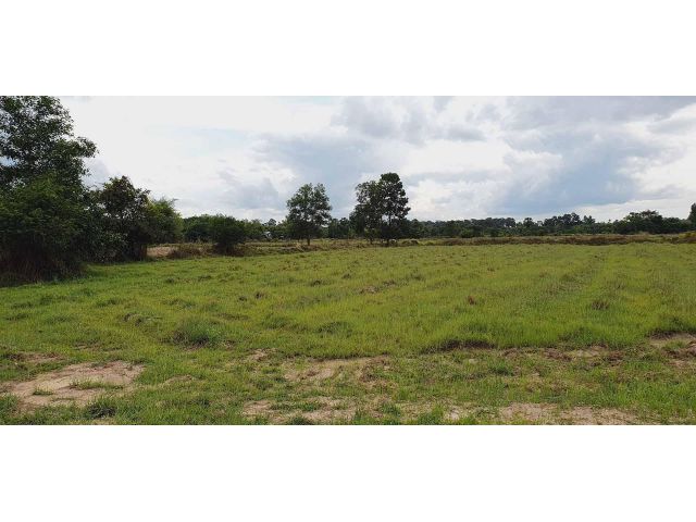 ใกล้ อบต.หนองแสง ใกล้โรงเรียน ที่สวยบรรยากาศดีสุดๆ ที่โฉนดเนื้อที่ 3 ไร่