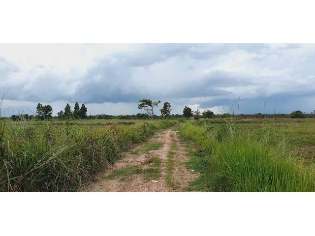 ใกล้ อบต.หนองแสง ใกล้โรงเรียน ที่สวยบรรยากาศดีสุดๆ ที่โฉนดเนื้อที่ 3 ไร่