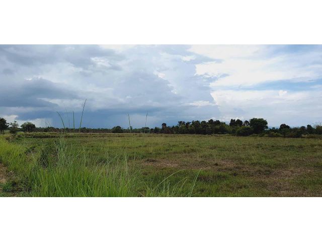 ใกล้ อบต.หนองแสง ใกล้โรงเรียน ที่สวยบรรยากาศดีสุดๆ ที่โฉนดเนื้อที่ 3 ไร่