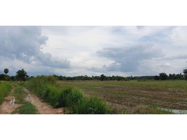 ใกล้ อบต.หนองแสง ใกล้โรงเรียน ที่สวยบรรยากาศดีสุดๆ ที่โฉนดเนื้อที่ 3 ไร่