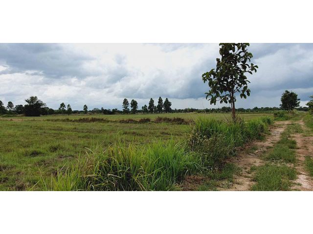 ใกล้ อบต.หนองแสง ใกล้โรงเรียน ที่สวยบรรยากาศดีสุดๆ ที่โฉนดเนื้อที่ 3 ไร่