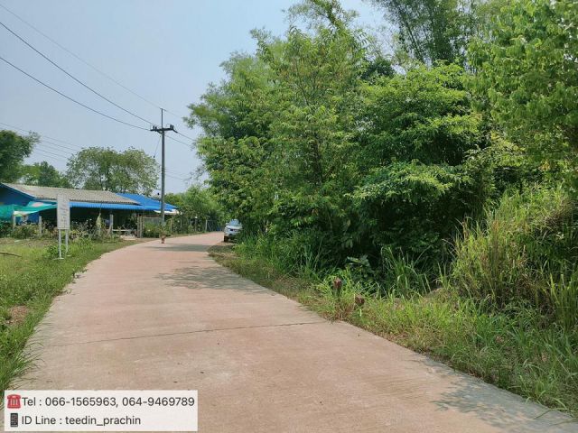 ขายที่ดิน ที่สวน ที่ทำบ้านสวน ที่ทำบ้านพัก อาศัยติดถนนคอนกรีต เนื้อที่ 4 ไร่ 2 งาน 84.6 ตรว.