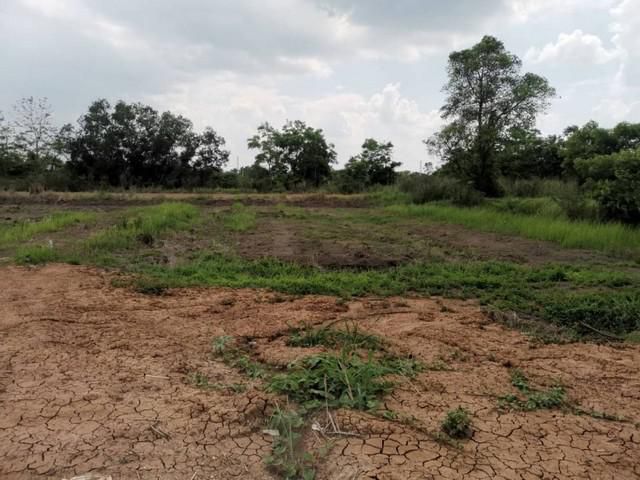 ที่ดินใกล้วิทยาลัยเทคนิคธัญบุรีเลียบคลอง13 ธัญบุรี