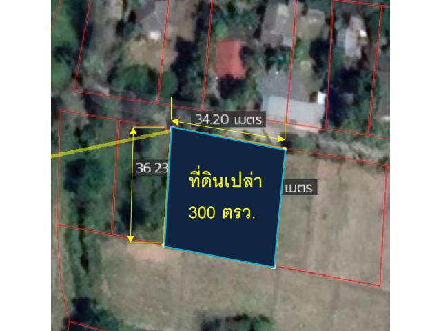 ขายที่ดินเปล่า 300 ตรว.  (ต.แม่ปูคา  อ.สันกำแพง  จ.เชียงใหม่)