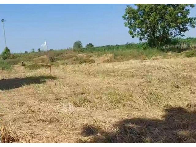 ขายที่ดินแปลงสวยกาญจนบุรี 8  ไร่