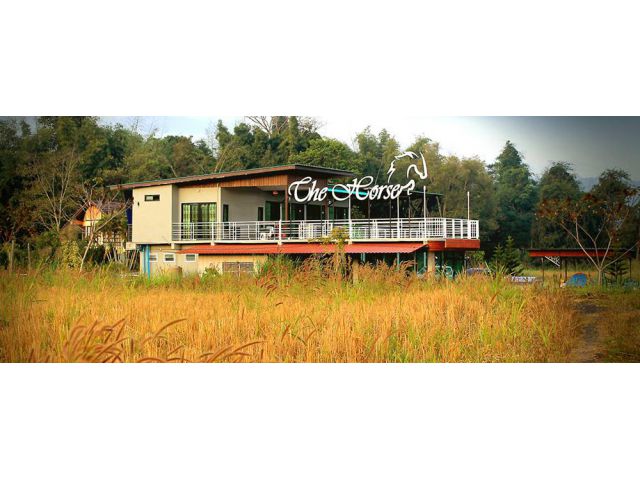 ขายรีสอร์ท The Horse Khaokho (เดอะฮอซเข้าค้อ) เนื้อที่ 2 งาน 33 ตารางวา สนใจโทร 099 365 4985