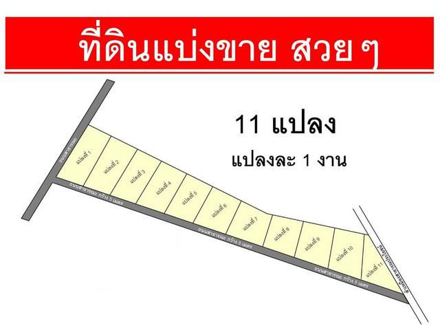 ที่ดิน 1ง140,000บ. สันลมจอย สันต้นหมื้อ แม่อาย ชม.