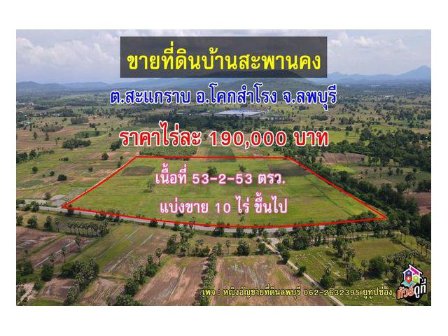 ขายที่ดินบ้านสะพานคงติดถนนลาดยาง ต.สะแกราบ อ.โคกสำโรง จ.ลพบุรี (แบ่งขายได้คะ)