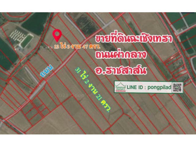 ขายที่ดินฉะเชิงเทรา ถนนผ่ากลาง แยกเป็น 2 แปลง 13 ไร่ 3 งาน 47 ตรว. และ 31 ไร่ 2 งาน 21 ตรว. ไร่ละ 299,999 บาท