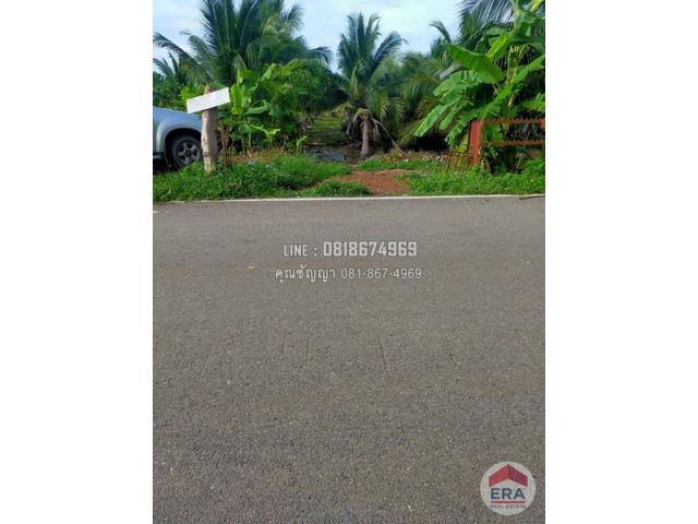 ขายที่ดิน 24-3-20 ไร่ อ.บางน้ำเปรี้ยว ฉะเชิงเทรา