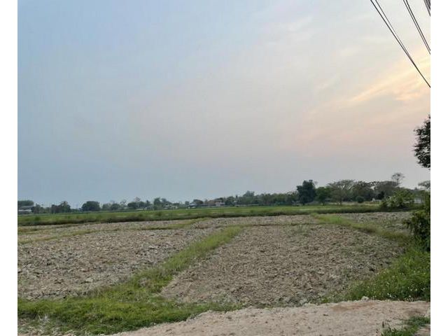 ขายที่ดิน บ้านป่าสักไก่ ทำเลดี เหมาะทำธุรกิจ