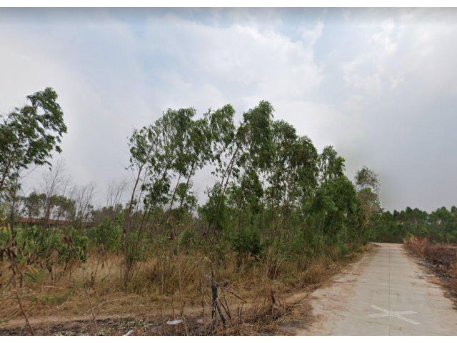 ขายที่ดินศรีราชา 6 ไร่ ติดถนนคอนกรีต ใกล้แยกหนองยายบู่ - 4 กม. จ.ชลบุรี