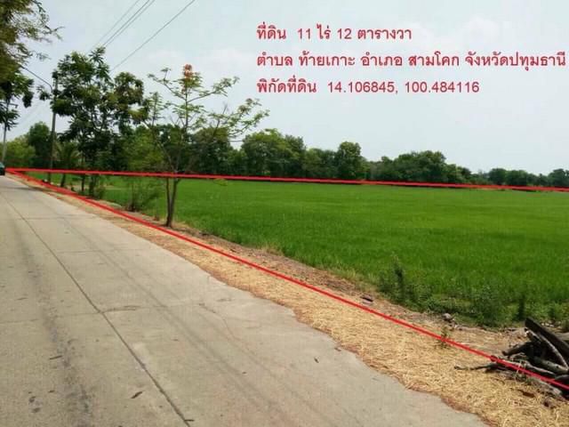 ขายที่ดินเปล่า อ. สามโคก 11 ไร่ 12 ตรว 1.49ต่อไร่