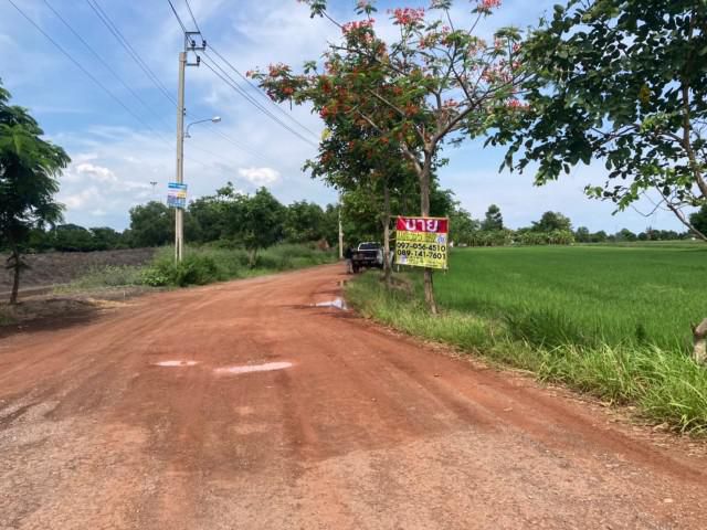 ขายที่ดิน ถนนขุมทอง-ลำต้อยติ่ง  ซอยเข้าวัดวชิรธรรมาวาส