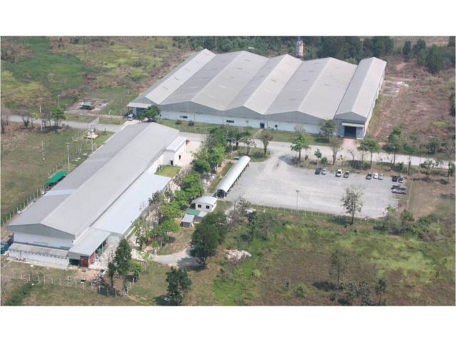 L20 ขายโรงงาน 81 ไร่ 15000 ตรม. พร้อมผู้เช่าระยะยาว วัฒนานคร สระแก้ว ราคาถูกมาก