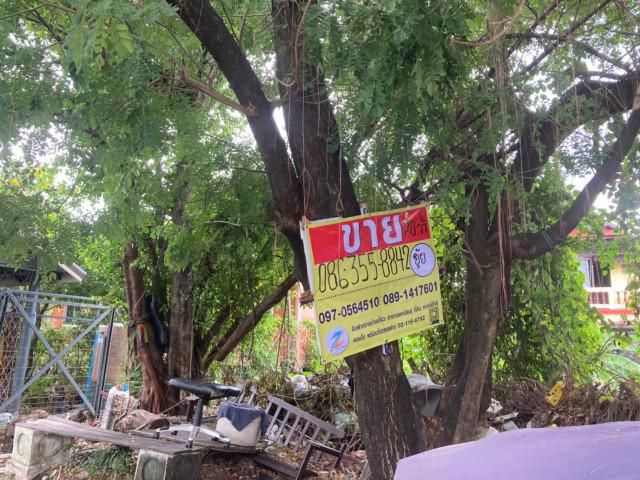 ขายที่ดิน โกสุมรวมใจ ซอย 5  เนื้อที่ 70 ตรว.