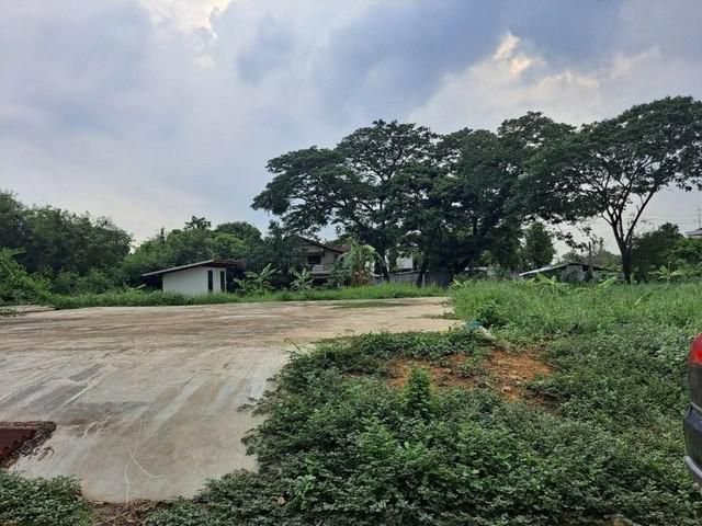 con15620 - ให้เช่าที่ดินแปลงงาม : บางพลี