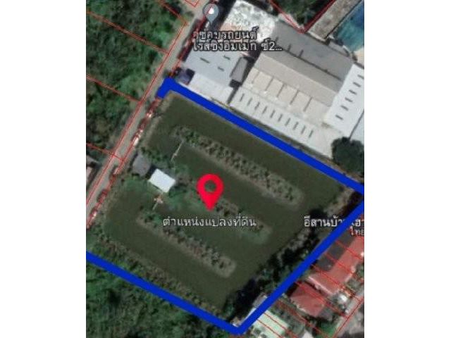 con15619 - ให้เช่าที่ดินแปลงงาม : ซอยพระพุทธบูชา36