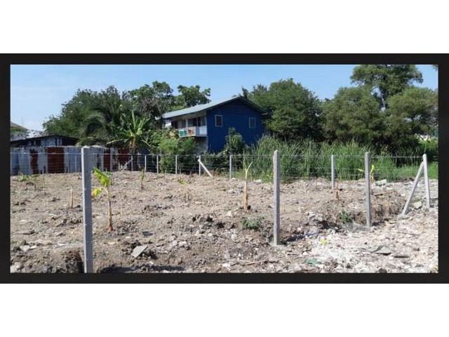con15613 - ให้เช่าที่ดินแปลงงาม : ประดิษฐ์มนูธรรม