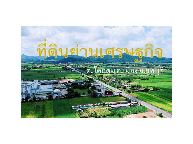 ที่ดินย่านเศรษฐกิจ แหล่งลงทุน ต.โคกตูม อ.เมือง จ.ลพบุรี