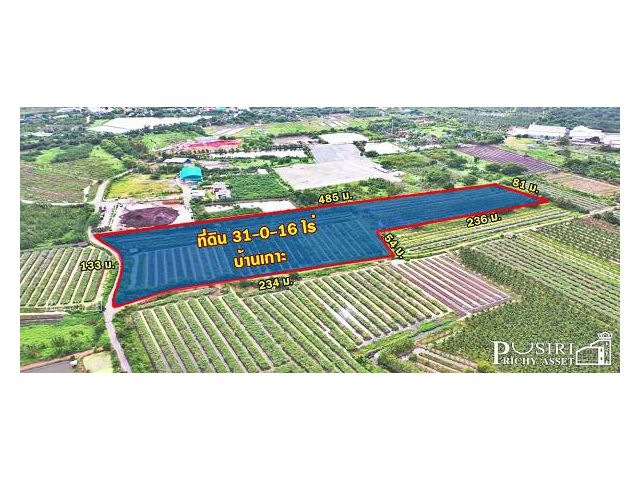 ที่ 31 ไร่ หน้ากว้างมาก 133 เมตร ราคาคุ้มสุดในตลาดเชื่อมต่อหลายเส้นทาง ถนนสวนส้ม บางปลา พระราม 2
