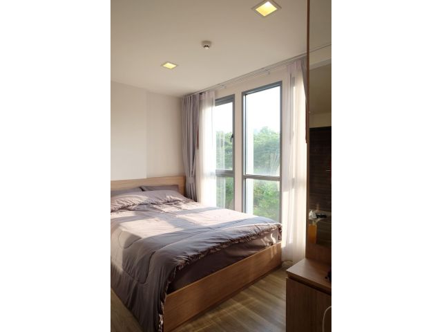 ให้เช่า คอนโด Moniiq Sukhumvit 64 (โมนีคสุขุมวิท 64 ) Condo Low Rise 8 ชั้น สไตล์ญี่ปุ่น ใกล้ BTS ปุณณวิถี