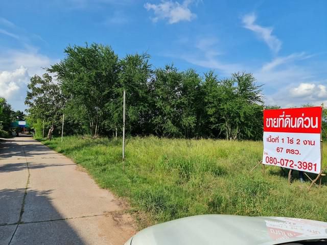 ที่ดินพื้นที่ เขตติดต่อเมืองนครราชสีมา