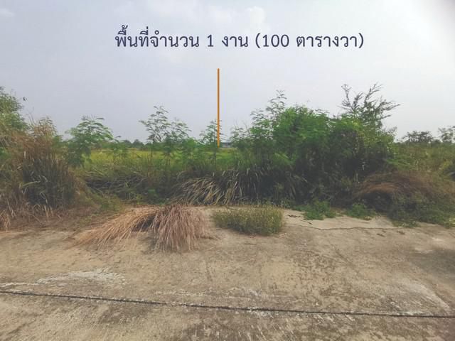 ขายที่ดินเปล่า ลำลูกกาคลอง 8 ทำเลดี ปทุมธานี