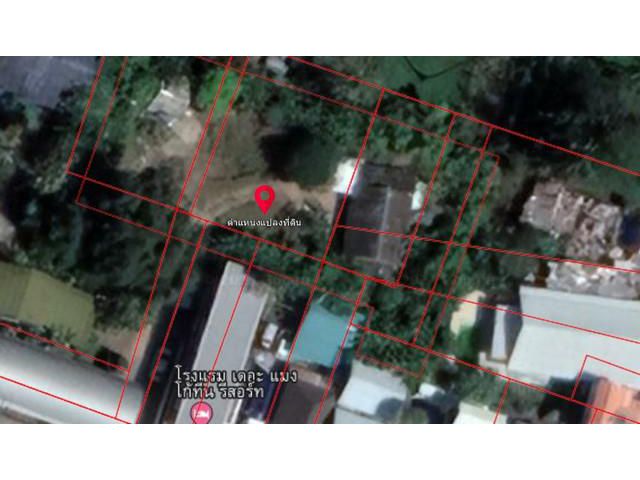 For Sales :   Land for sale in Rawai 88 SQ.W.