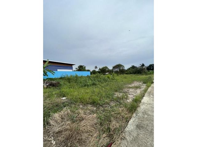 ขายที่ดิน ต.ลำโพ อ.บางบัวทอง จ.นนทบุรี 1ไร่