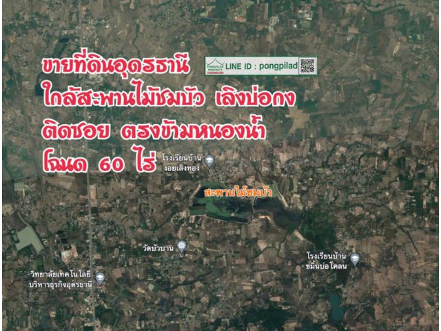 ขายที่ดินอุดรธานี ใกล้สะพานไม้ชมบัว เลิงบ่อกง ติดซอย หน้าหนองน้ำ โฉนด 60 ไร่ ไร่ละ 300,000 บาท