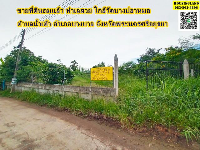 ขายที่ดินถมเเล้ว ทำเลสวย ใกล้วัดบางปลาหมอ  ตำบลน้ำเต้า อำเภอบางบาล จังหวัดพระนครศรีอยุธยา