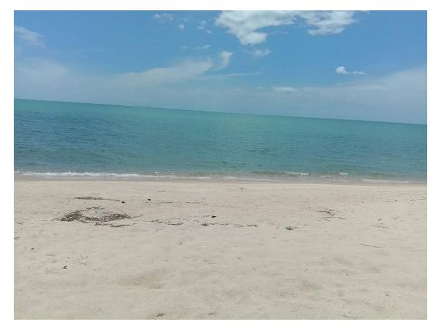 ขายที่ดินติดทะเล หาดเสาเภา อ.สิชล นครศรีธรรมราช