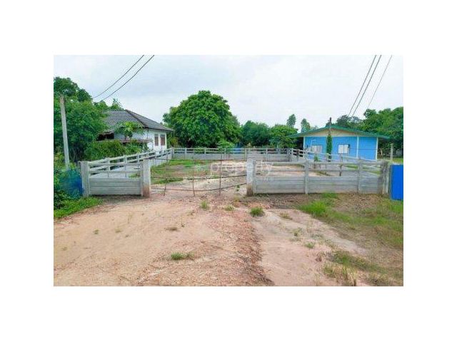 ขายที่ดิน 70 ตรว. ถมแล้วหลังอบจ.นครนายก ใกล้ถนนสุวรรณศร 33 - 550 เมตร จ.นครนายก