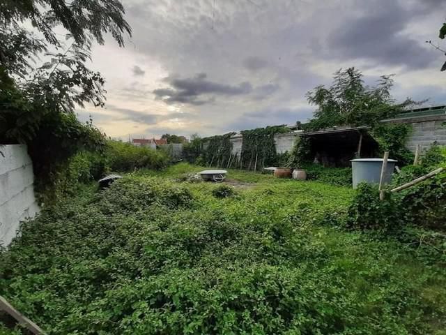 ที่ดิน ย่านวชิรธรรมสาธิต ศรีนครินทร์ อ่อนนุช