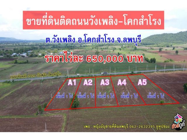 ที่ดินจัดสรรติดถนน แปลงละ1ไร่ ต.วังเพลิง อ.โคกสำโรง จ.ลพบุรี