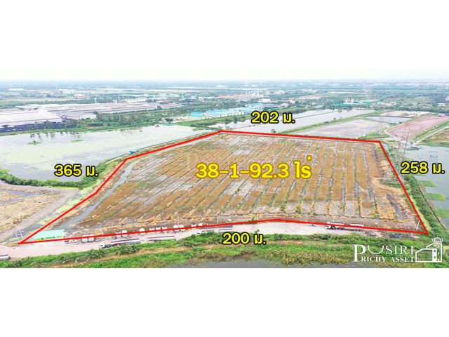 ที่สวยสร้างโกดัง 38 ไร่เศษ หน้ากว้างถึง 200 ม. ติดถนน ที่รถเทรลเลอร์ เข้าออก สบาย ใกล้ ถนนบ้านแพ้ว พระราม 2