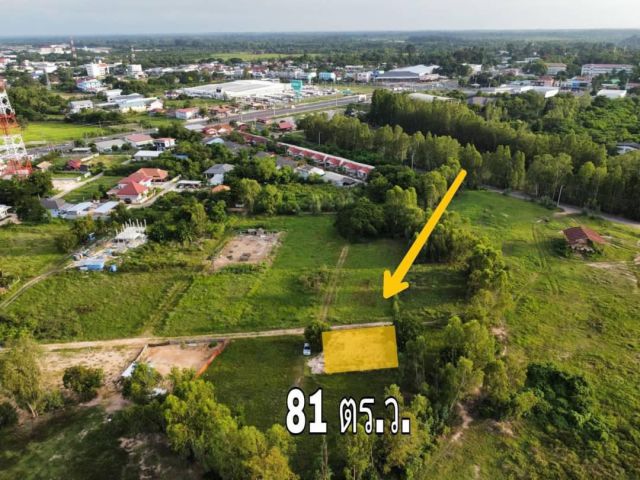 ที่ดินหลังแคทเทเลคอม/ยโสธร