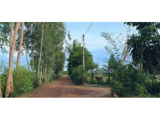 บรรยากาศดี วิวสวย ใกล้นานาคาเฟ่  ใกล้สนามกีฬา วัด โรงเรียน ที่โฉนดราคาถูก