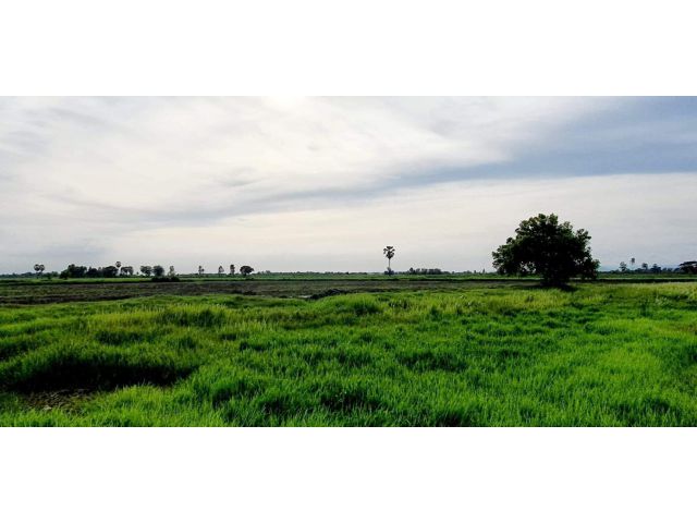 บรรยากาศดี วิวสวย ใกล้นานาคาเฟ่  ใกล้สนามกีฬา วัด โรงเรียน ที่โฉนดราคาถูก