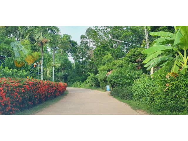 บรรยากาศดี วิวสวย ใกล้นานาคาเฟ่  ใกล้สนามกีฬา วัด โรงเรียน ที่โฉนดราคาถูก