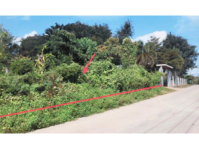 KK02-12945 - ขายบ้านเดี่ยว : ถนนหนองด่าน เชียงราย