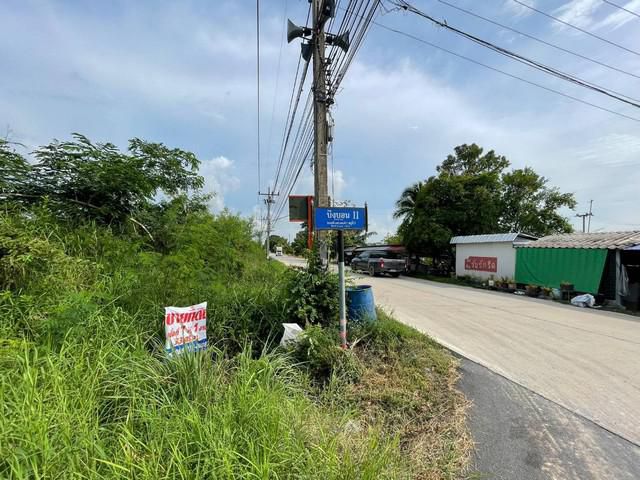 ที่ดินคลอง 8 ซ.บึงบอน 11 จ.ปทุมธานี ขนาด 105 ตร.ว.