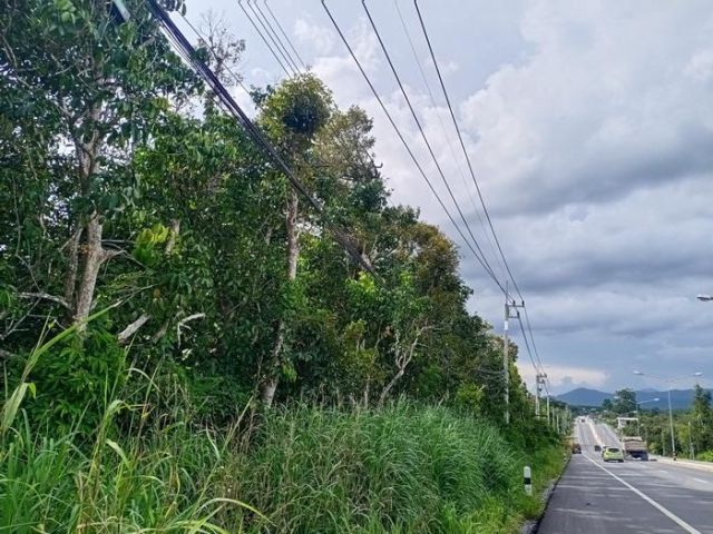 !!!ทำเลดี ราคาดี ที่ติดถนนสี่เลน ทางหลวง 3249!!! เสนอขายสวนผลไม้ เหมาะสำหรับปรับทำธุรกิจล้งรับซื้อผลไม้ เนื้อที่ 6 ไร่ พ