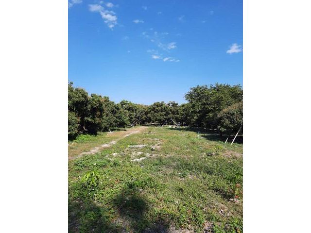 Land For Sale ที่ดินราคาถูก ติดถนนดำ ใกล้โรงเรียนวัดสันเหมือง ลำพูน