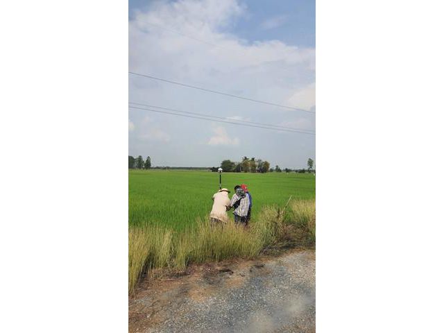 ขายด่วน ที่นาสวยเเบ่งจัดสรรขาย