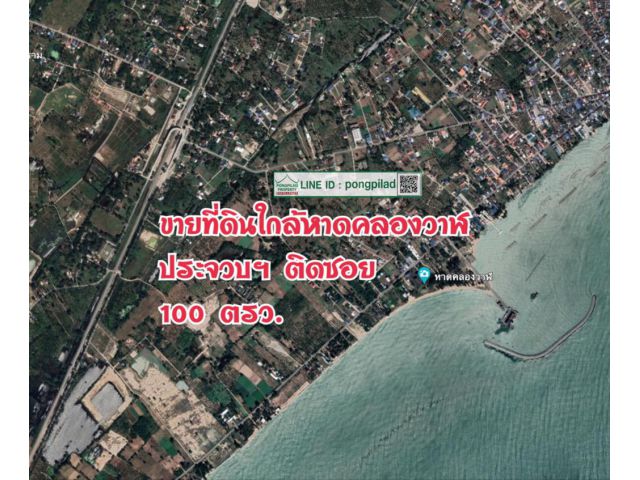 ขายที่ดินใกล้หาดคลองวาฬ ประจวบฯ ติดซอย 100 ตรว.