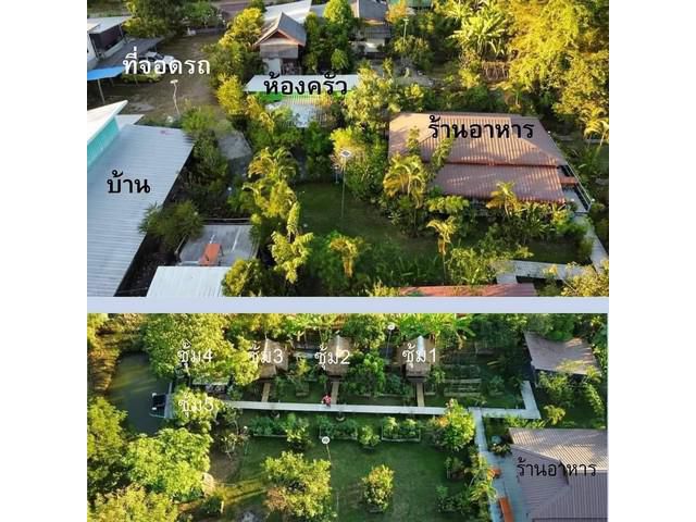ที่ดินร้านอาหาร1ร.2ง.85ตรว.9.5ล.แม่ริม จ.เชียงใหม่