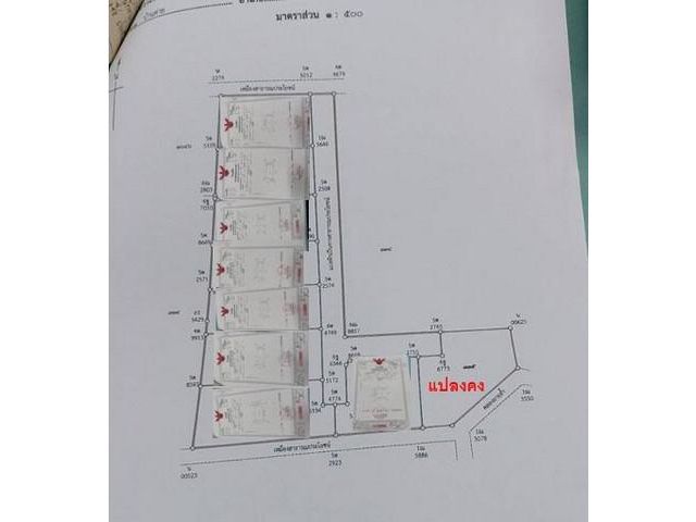 ขายที่ดินจัดสรร บ้านค่าย ระยอง พื้นที่เริ่มต้น 75 ตารางวา แบ่งขายหลายแปลง ห่างจากเซ็นทรัลระยอง 10 กม มีสาธารณูปโภค น้ำ